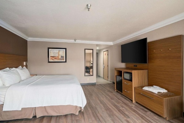 Best Western Plus Newport Mesa Inn image 10